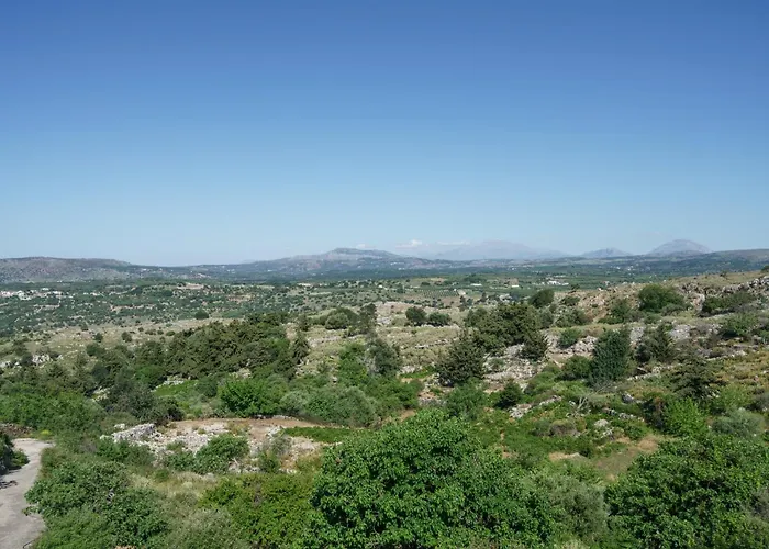 Patima View